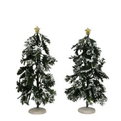 Luville General Snowy conifer